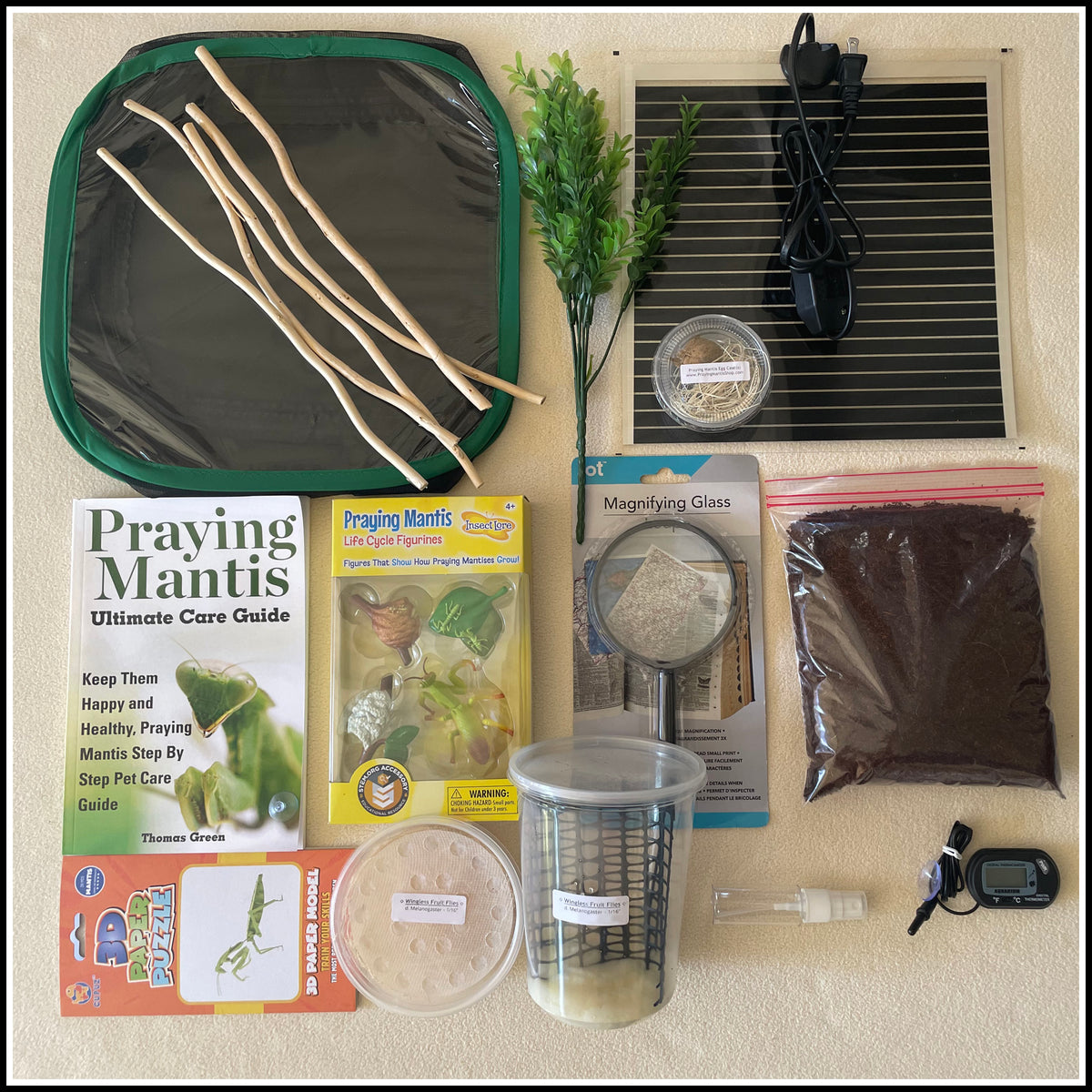 Praying Mantis Kit - Ultimate – The Fruit Fly Shop