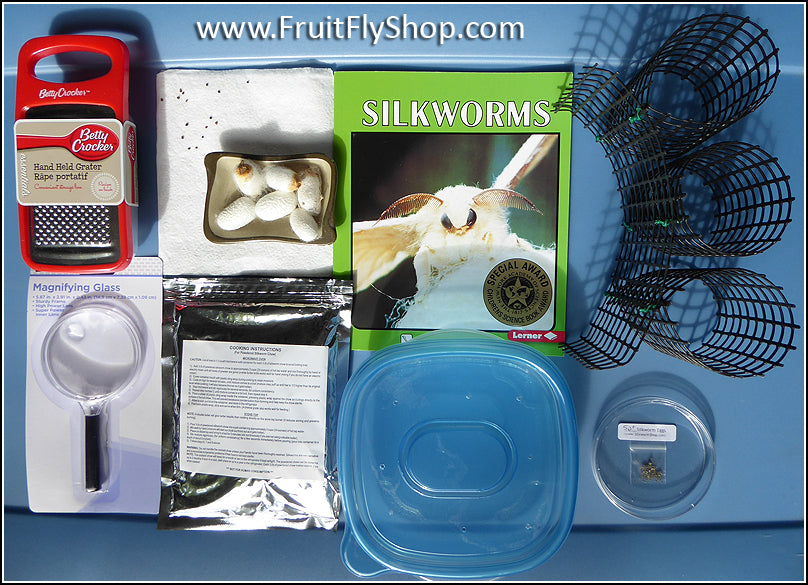 http://buyfruitflies.com/cdn/shop/products/kit_discovery_1200x1200.jpg?v=1606442766