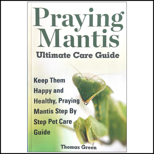 Praying Mantis Ultimate Care Guide