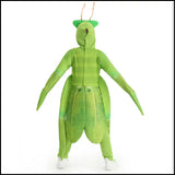 Praying Mantis Fun - Mantis Costume