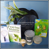 Praying Mantis Kit - Discovery