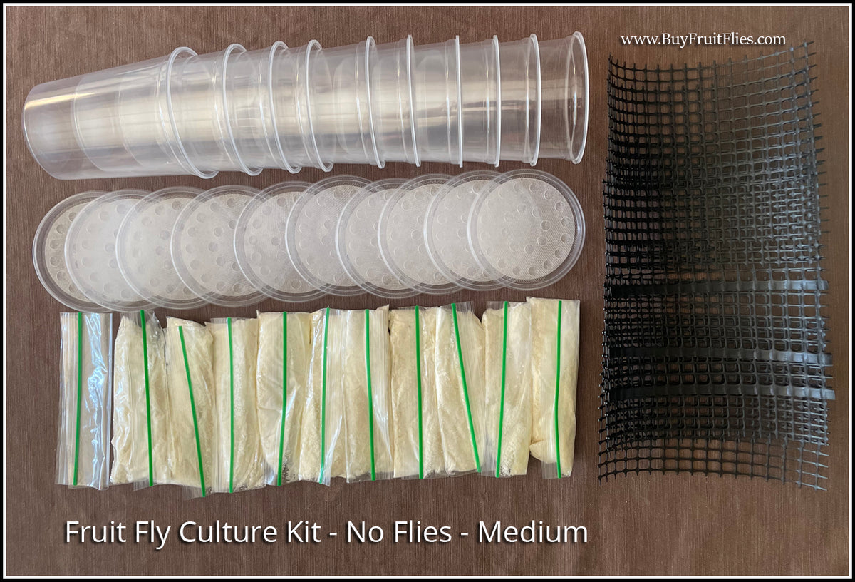 Fruit Fly Culture Kits NO FLIES The Fruit Fly Shop