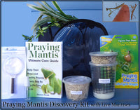 Praying Mantis Kit - Discovery