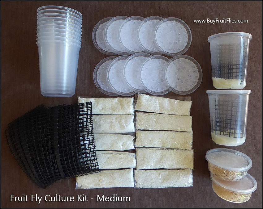 Fruit Fly Breeding Kit Medium The Fruit Fly Shop